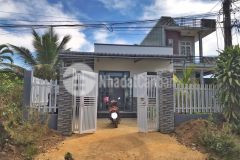 Ban nha gân đen xanh đo phương lôc phat