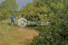 Chính chủ cần bán gấp lô đất ven biển bình thuận,giá chỉ 60 ngàn m2