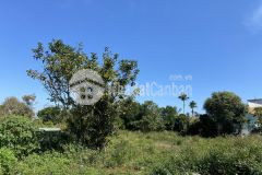 Cần bán lô đất mặt tiền đường lê phụng hiểu 37m phường 2 tp bảo lộc