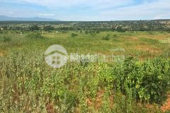 Bán lô đất kế bên đường liên xã nối biển huyện bắc bình giá 60.000đm2 sổ hông riêng