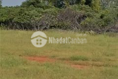 Bán lô đất 11028m2 ngay tuyến đường đi sân bay phan thiết,