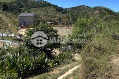 Cần bán lô đất vườn 3 sào xã lộc thành huyện bảo lâm giá 750tr