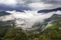 Đất y tý giá rẻ ngay hôm nay