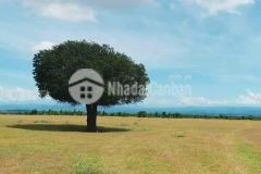 Cần bán lô đất vườn trồng cây xã hồng thái, bình thuận, sổ đỏ sẵn giá chỉ 70km2