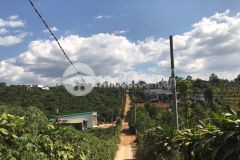 Ban nhanh lô đât 2 măt tiên cach qlo 20 chi 1km gia 1ty950