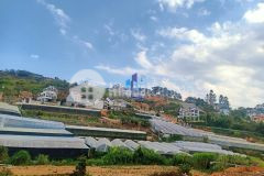 Bán đất biệt thự nam hồ f11 tp.đà lạt