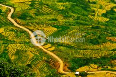 Đất vị trí đắc địa giá tốt sa pa 2