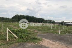 Chính chủ cần bán đất bình phước