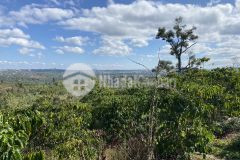 35. bán gấp 2 sào vườn trung tâm bảo lộc xã lộc sơn tp bảo lộc