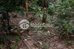 Cần bán đất nền lấp vò tỉnh đồng tháp