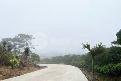 26. cần gấp bán đất giá cả rẻ tp.lâm đồng