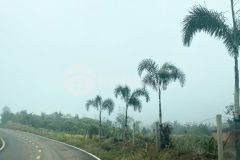 25. cần bán gấp đất giá rẻ tp.bảo lộc