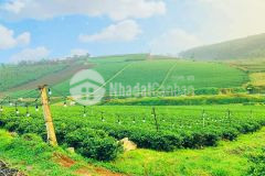 Lý do nên đầu từ bảo lộc từ hôm nay600trnềnhl0915514361