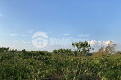 56. bán lô đất xã lộc châu, tp bảo lộc