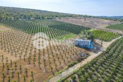 Chính chủ gửi bán lô đất diện tích 6814m2 view đường biển cực đẹp