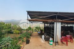 Nền đất hơn 500m2 được phép chuyển xây dựng, giá chỉ 5,5 triệum2, chỉ còn 4 lô sót lại, nhanh được