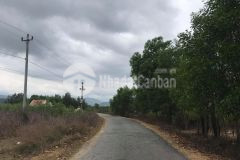 Bán đất 13ha xã khánh hiệp thích hợp làm trang trại nhà xưởng lh 0788.558.552