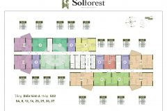 Căn solforest duy nhất 3pn 2wc sân vườn từ đợt 1 cđt giá chỉ 2.6 tỷ chiết khẩu 11