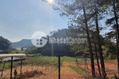 5,5 triệum2 đất nông nghiệp mặt tiền đường mimosa, p10, đà lạt