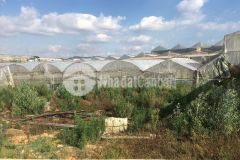 D928 cần bán lô đất hẻm ô tô nguyên tử lực phường 8 tp đà lạt.