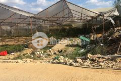 D929 cần bán lô đất hẻm ô tô nguyên tử lực phường 8 tp đà lạt.