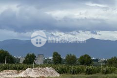 Bán nhanh lô đất vuông vức, cạnh bên đường liên huyện giá siêu rẻ 2 mặt tiền đường