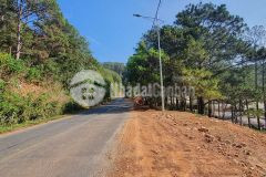 Cần bán nền đất mặt tiền đường mimosa, giá chỉ 6 triệum2, phường 10, đà lạt hàng hiếm giá cực tốt d