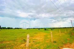 Chỉ còn lô 1ha duy nhất sổ vuông vức có đường đất trên sổ,thích hợp đầu tư,làm farm,.... giá chỉ 90km2