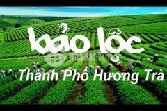 Đất nền bảo lộc, thổ cư, sổ sẵnview đối diện đồi chè tâm châu