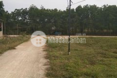 Bán 3 lô bảo đại cách ql1 a chỉ 1km giá 2xx 1 lô