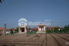 Bán gấp đất hải hòa, hải hậu, 1200m chỉ 1.8 tỷ