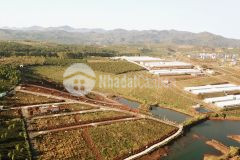 Đất vườn biệt thự nghĩ dưỡng đambri bảo lộc homstay ngay đồi chè tâm châu