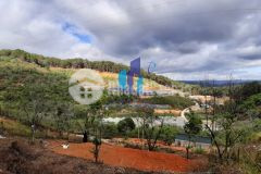 Đất mimosa phường 10 tp đà lạt.