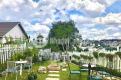 Biệt thự nghỉ dưỡng 400m2 đường 10m đang kinh doanh tốt 12 tỷ