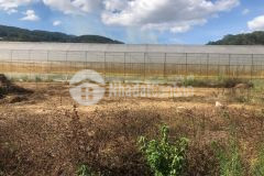 D935 cần bán lô đất hẻm ô tô vạn thành phường 5 tp đà lạt.