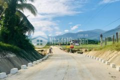 Đất cây lâu năm cần bán 3ha mặt tiền hl62 giá rẻ