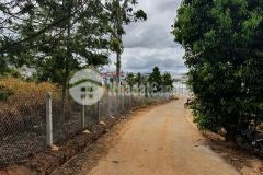 205m2 sổ riêng xây dựng 3,1 tỷ