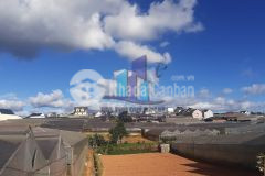 Bán đất đường ngô tất tố p8 tp. đà lạt.