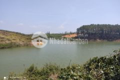 Chưa tới 1,1 triệum2 đất view hồ cực đẹp tại cầu đất, đà lạt