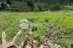 70. cần bán lô đất thôn 8 xã đại lào tp bảo lộc