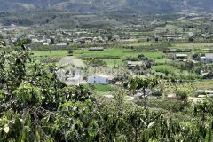 71. cần bán lô đất thôn 6 hẻm bê tông tới vườn