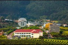 Chỉ còn 1 lô liên kế giá tốt kqh xuân trường, đà lạt 79m2