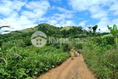 Bán đất 6ha2 giáp suối dài hơn 400m xã khánh thượng giá rẻ lh 0788.558.552