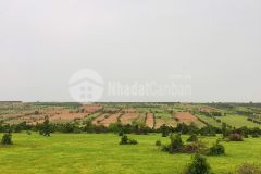 Bán lô đất 7074m2 vị trí cực đẹp cách ql1a và khu dân cư hiện hữu chỉ 2km