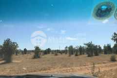 Chính chủ cần bán gấp lô đất ở xã hồng thái 6921m2, giá 519tr,