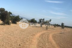 Cần bán lô đất ven biển ở hòa thắng, bình thuận