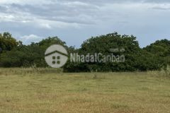 Bán lô đất bình thuận 9865m2, giá 80.000đm2, rẻ hơn nhiều so với thị trường. lh 0919 626 750