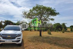 Bán lô đất bình thuận 7821m2, đường xe oto vào tận nơi, cách quốc lộ 1a hơn 1km, lh0937251240