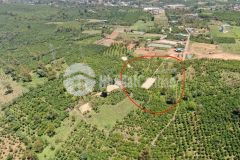 73. cần bán gấp lô đất xã lộc thành