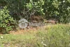 Bán đất vườn nông nghiệp bình thuận sổ hồng trao tay diện tích 3792m2